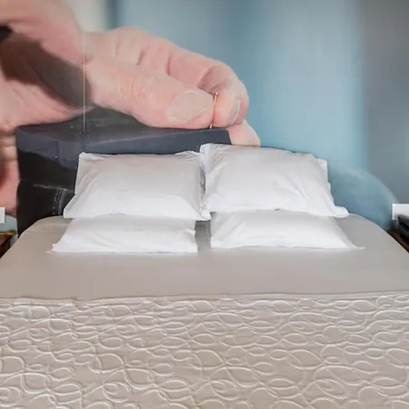 A.s. São João da Madeira